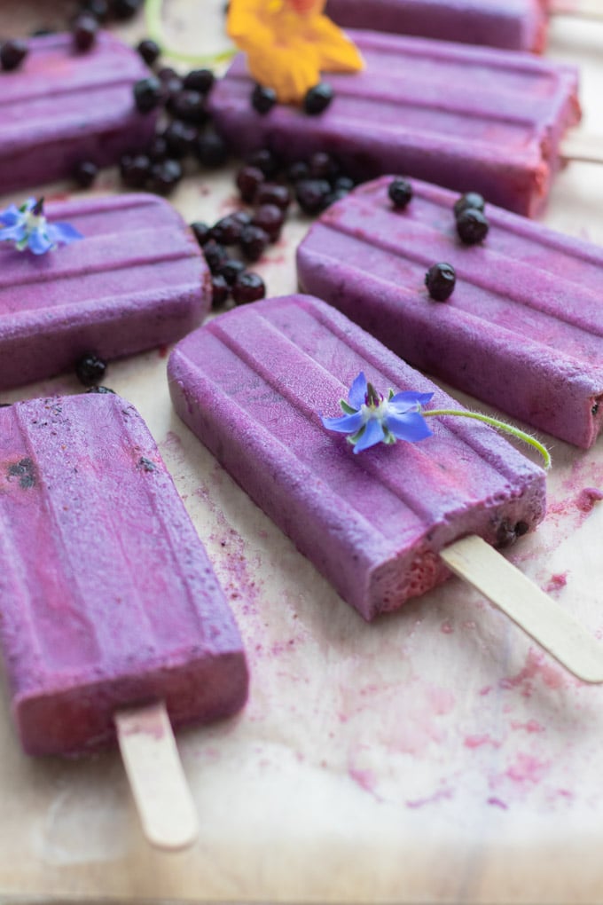 Blueberry Yogurt Popsicles.