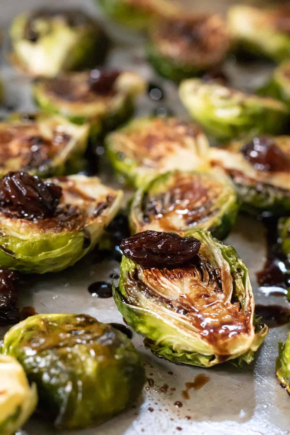 close up of seared brussels drizzled with raisin balsamic.