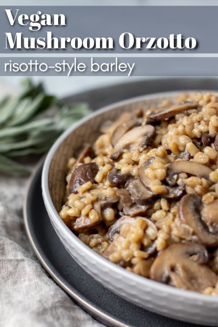 image of creamy barley with mushrooms in a gray bowl