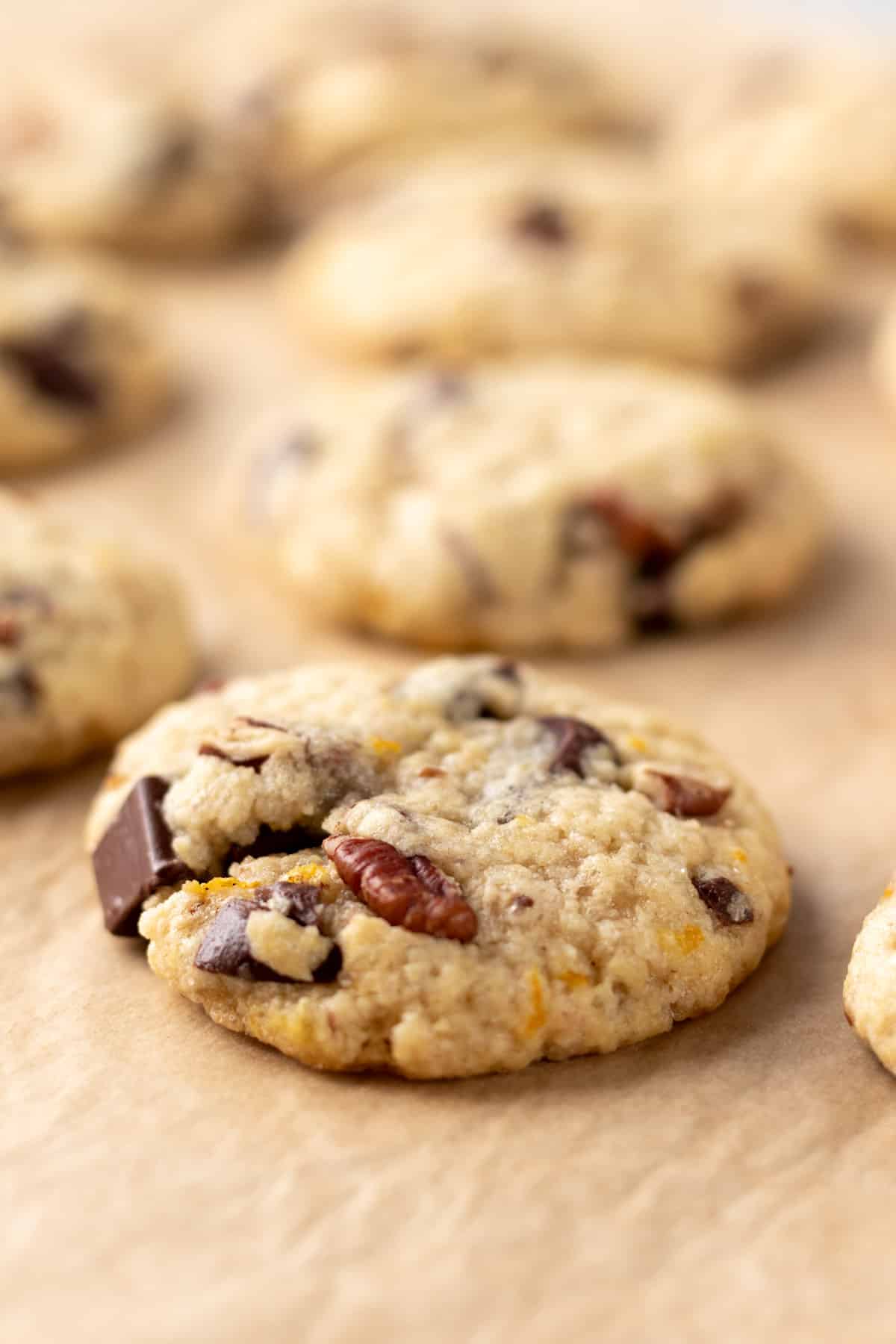 Close up of a cookie showing chunky pecan pieces, orange zest, and chocolate.