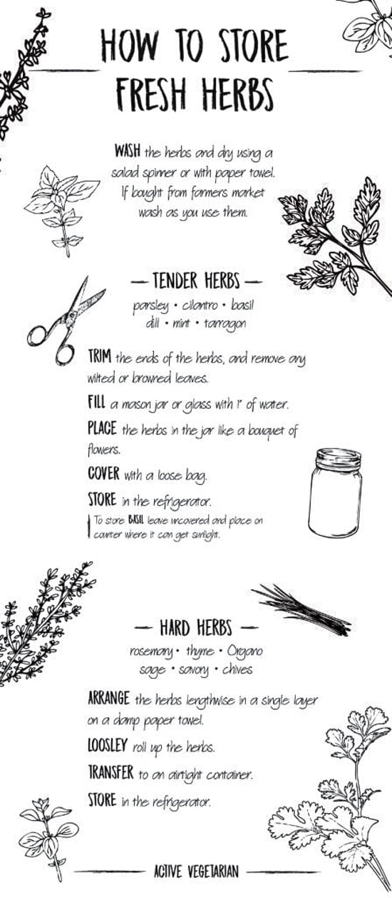 Illustration with information on how to store fresh herbs