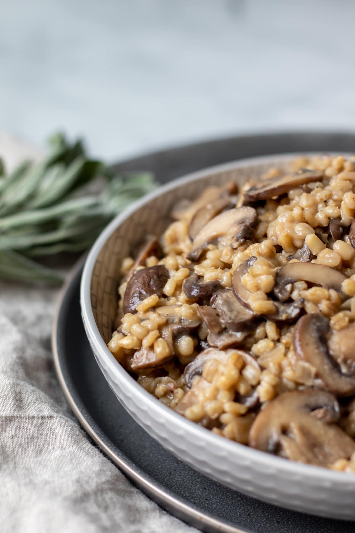 creamy barley orzotto in a bowl with sage in background.