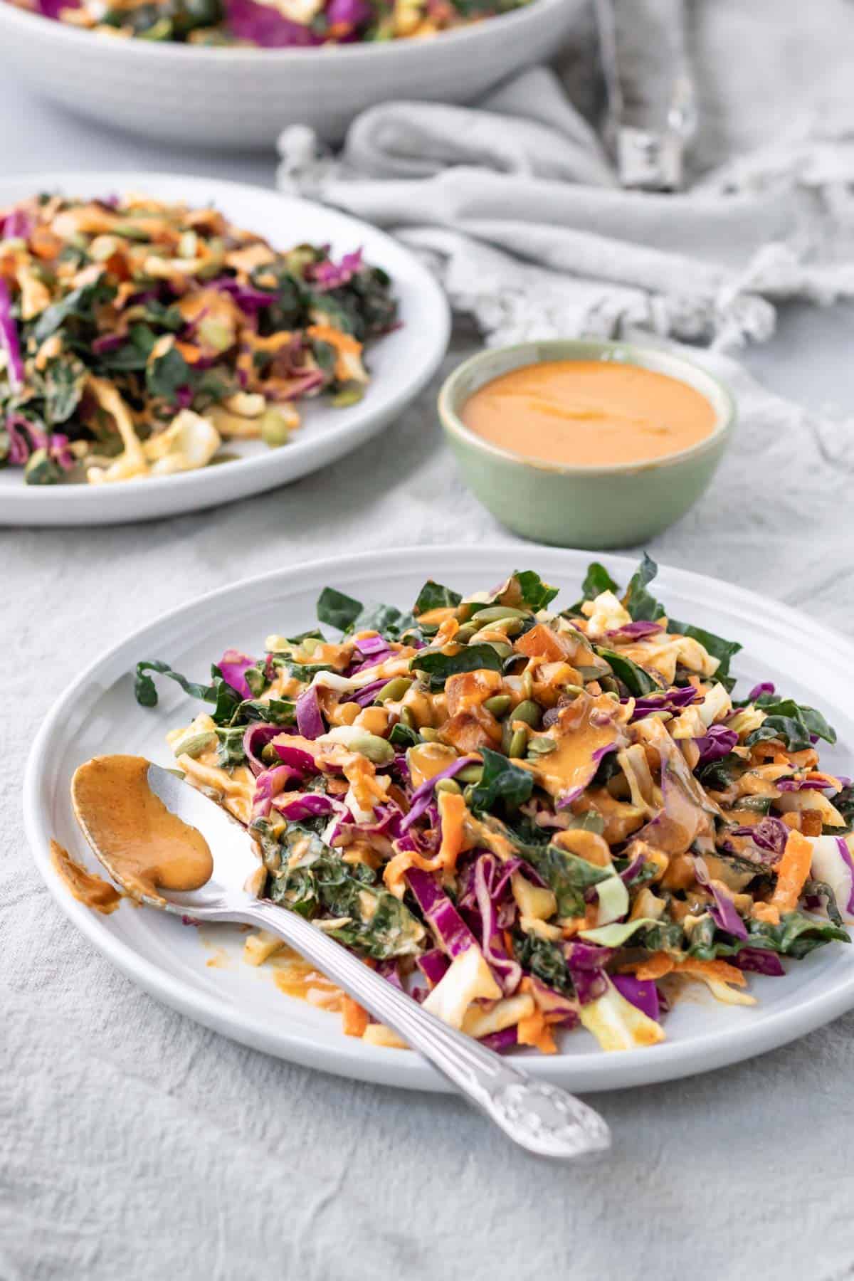 Colorful green kale and red cabbage dressed with creamy dressing.