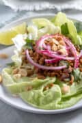 Vegan Thai Larb with Seitan topped with quick-pickled red onion and peanuts