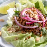 Vegan Thai Larb with Seitan topped with quick-pickled red onion and peanuts