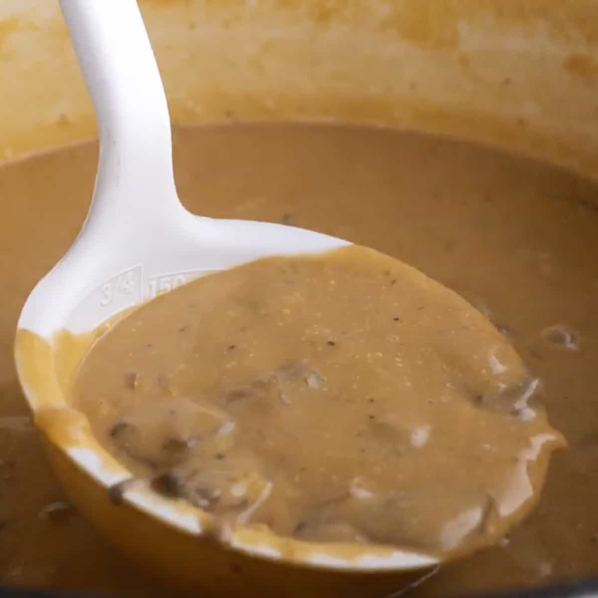 a ladle scooping up soup from the pot.