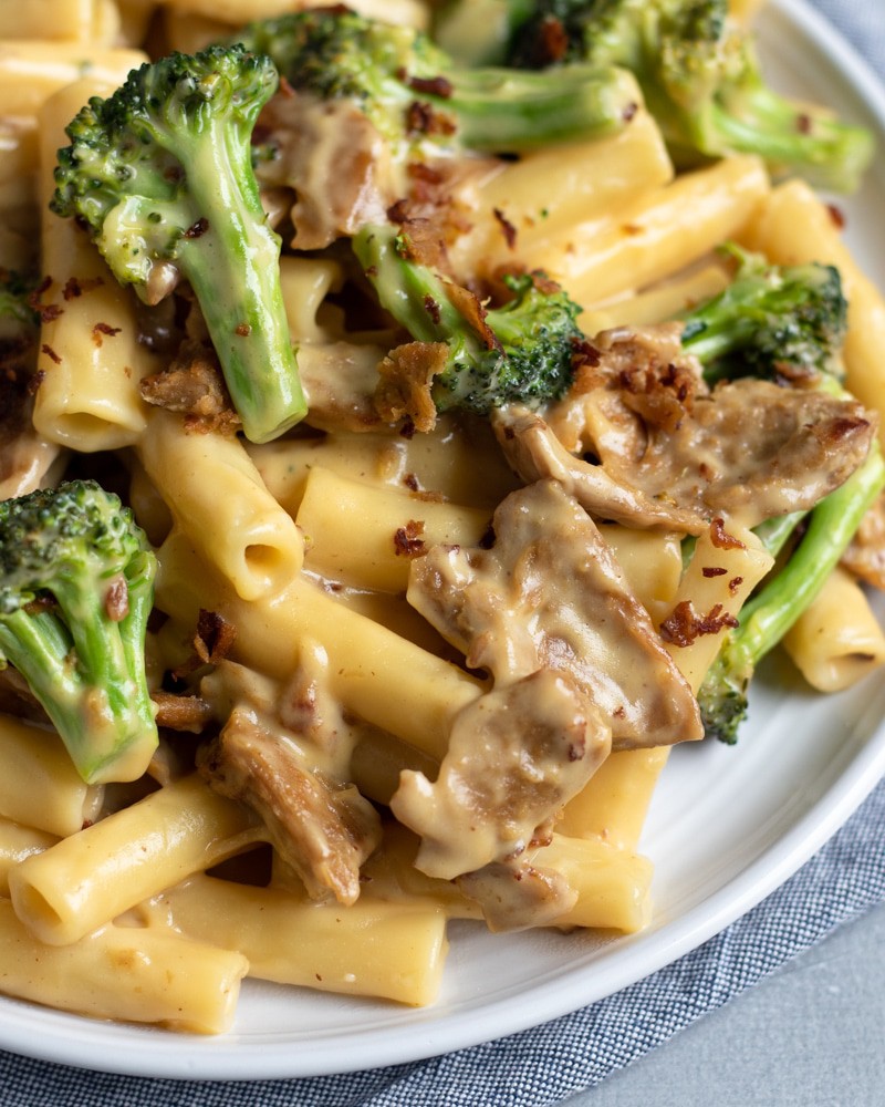close up of cheesy noodles with sauce covered seitan and broccoli.