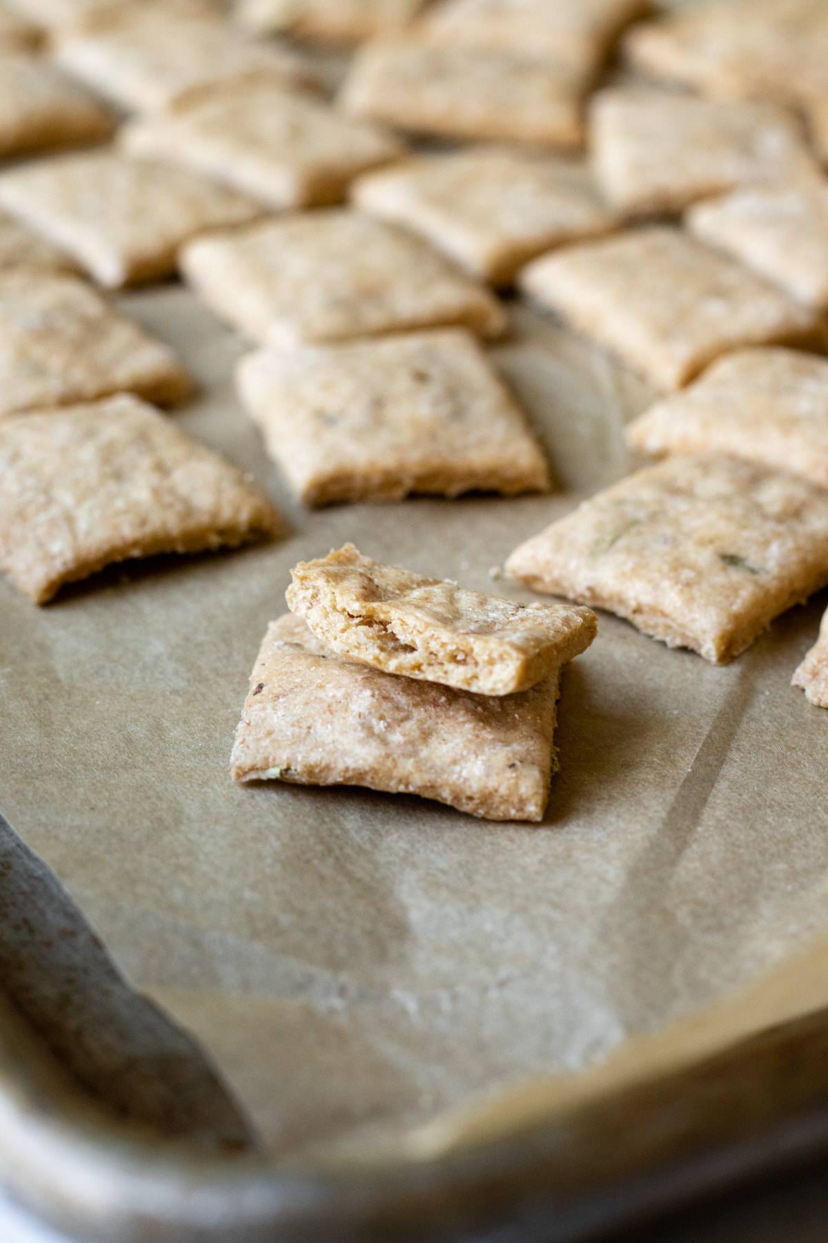 a view of the crispy inside of a cracker broken in half.