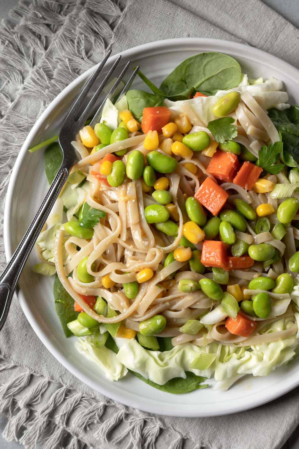 brown rice noodles with vegetables and miso sauce on a plate.