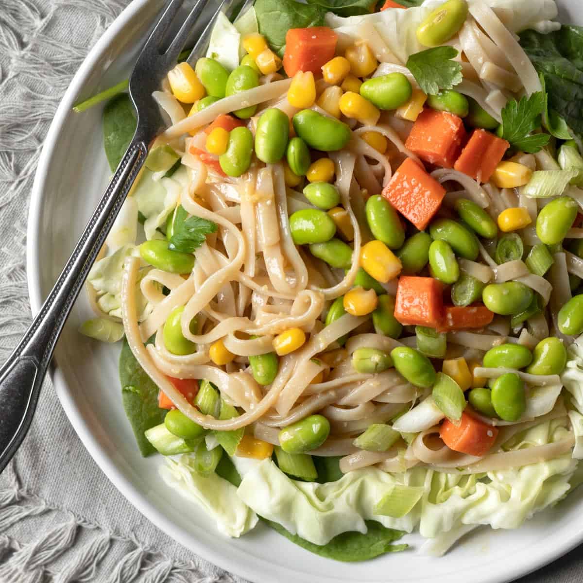 Quick Vegan Miso Noodles-image