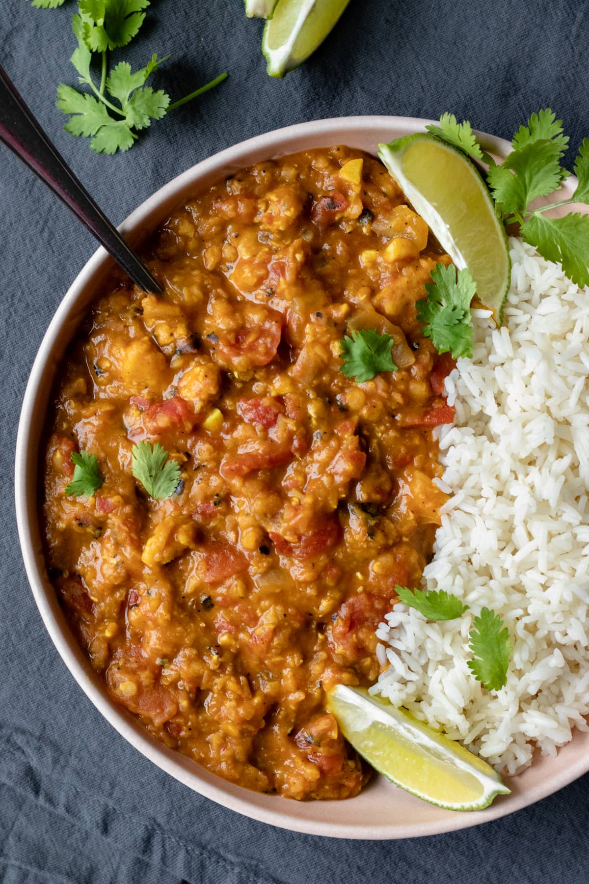 overhead view of vegan curry in a bowl with jasmine rice, cilantro, and lime wedges.