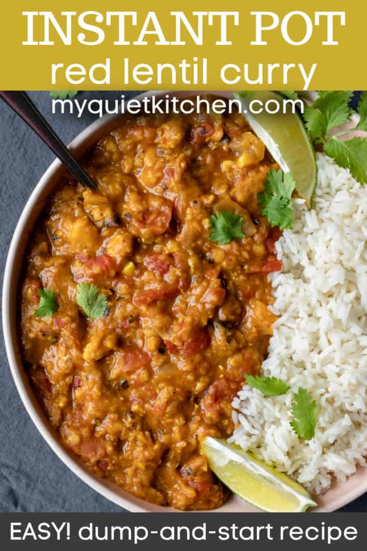 image of vegan curry with text overlay to save on Pinterest.