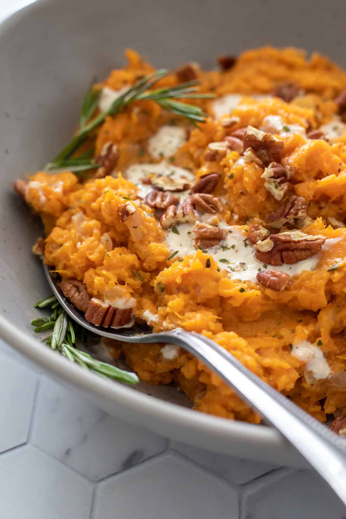 close up of fluffy, creamy sweet potatoes topped with toasted pecans.