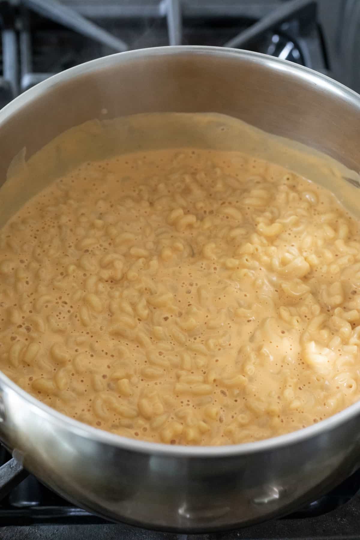 heating sunflower seed cheese sauce with cooked macaroni noodles.