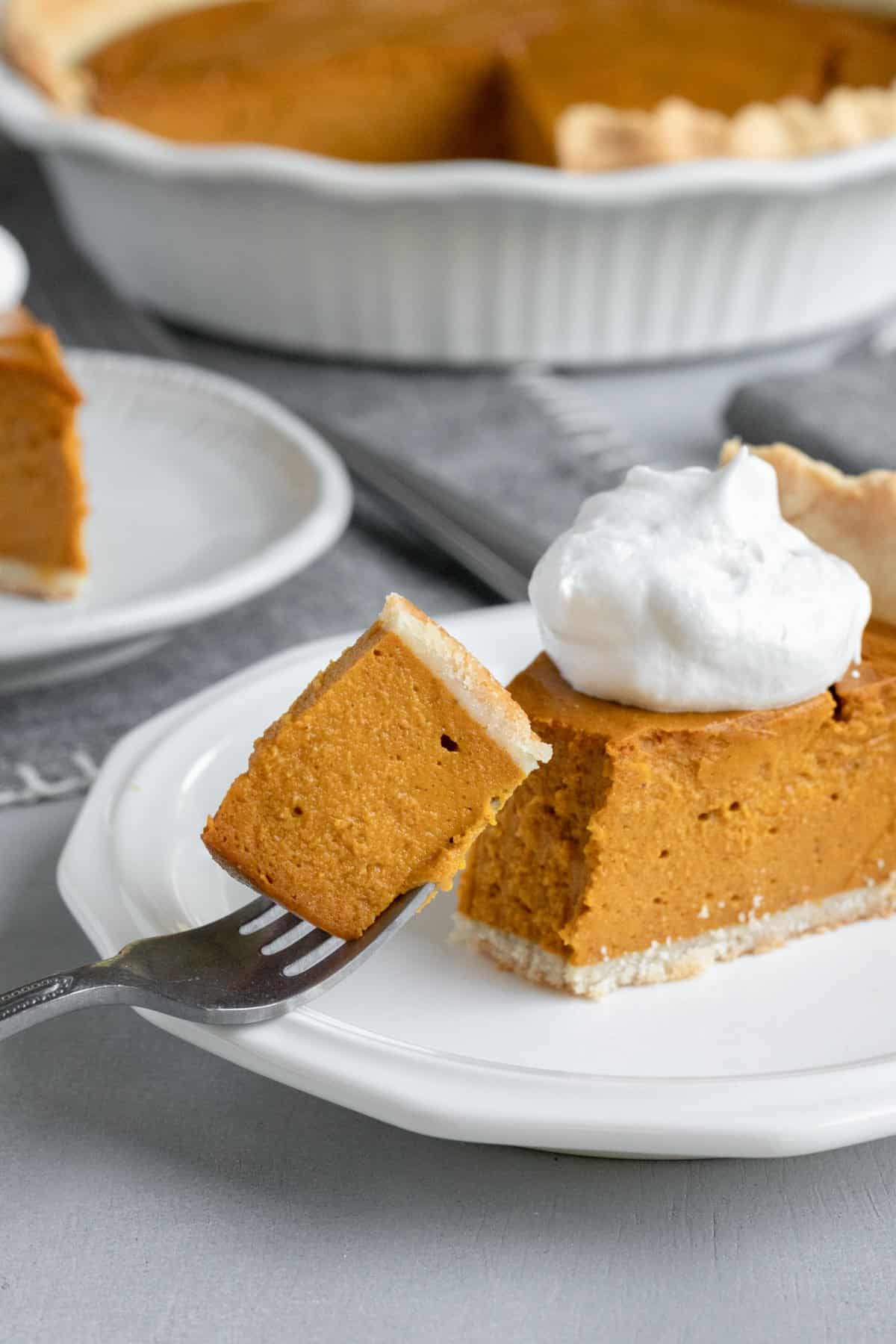 a forkful of pumpkin pie showing perfect texture of filling and crust.