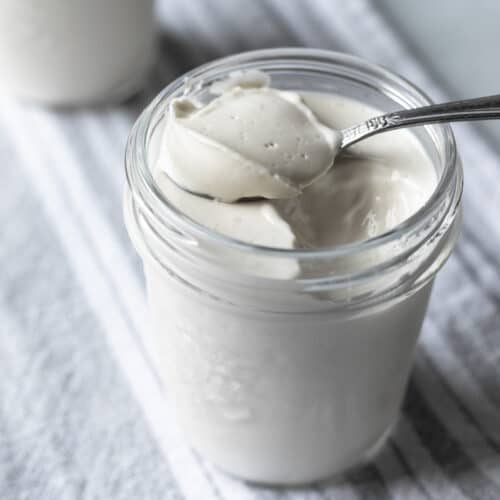 https://myquietkitchen.com/wp-content/uploads/2021/09/almond-milk-yogurt-recipe-2-500x500.jpg