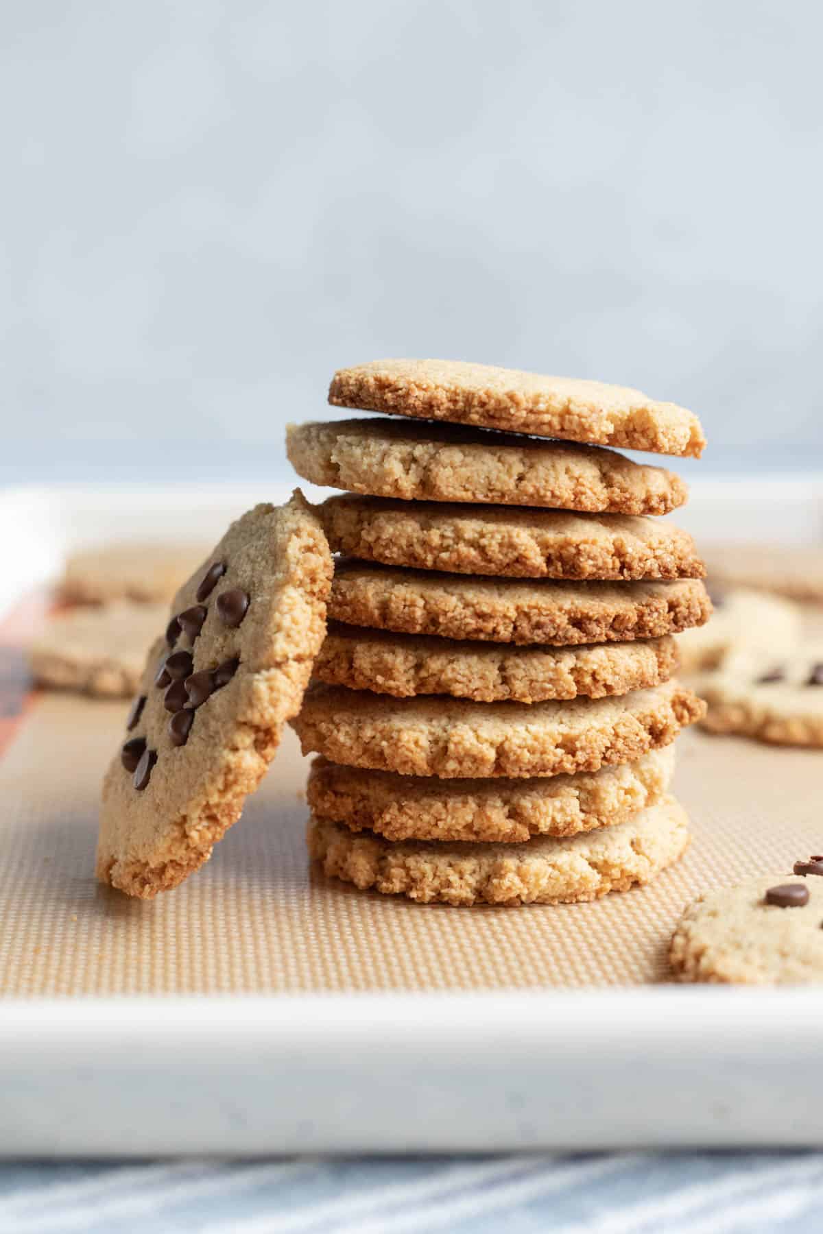 A tall stack of crisp almond flour cookies and one with chocolate chips leaning against the stack.