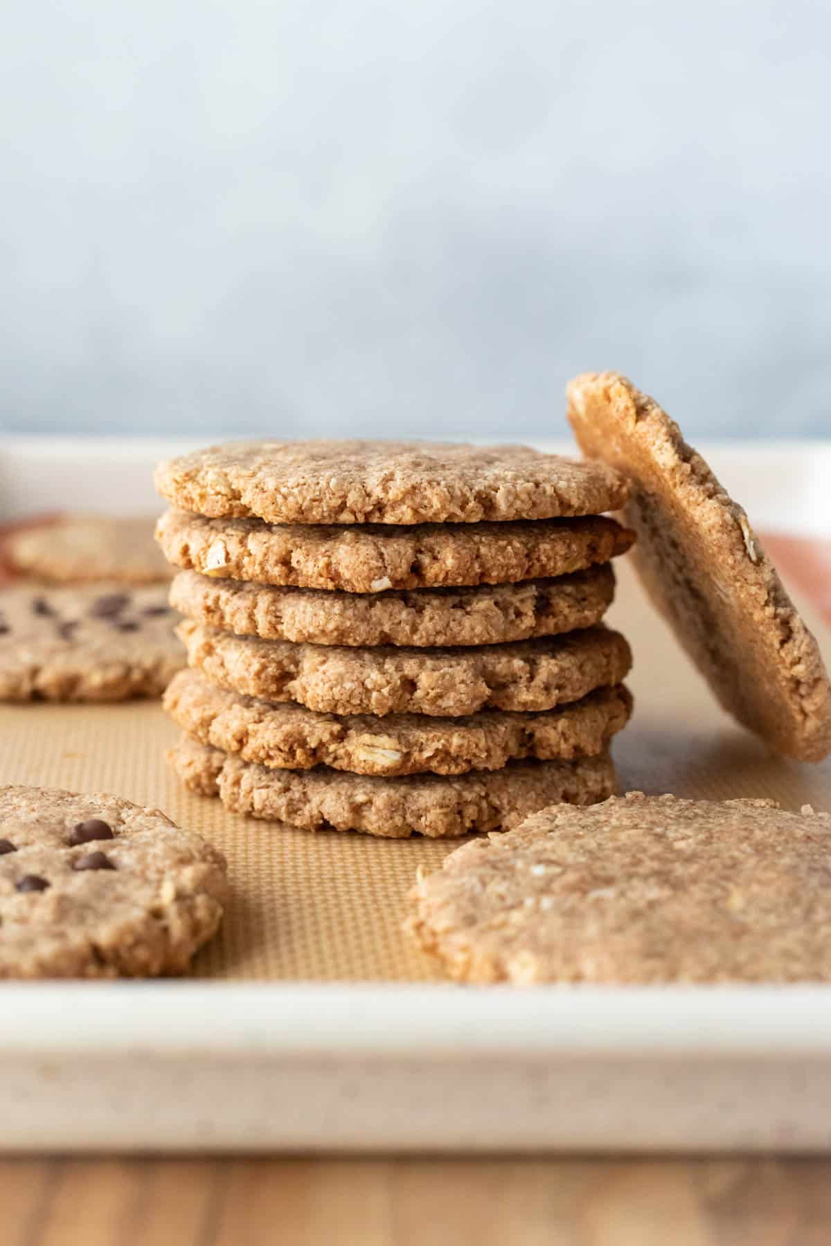a stack of cookies, some with chocolate chips, with one crispy cookie leaning against the stack to show the golden bottoms.