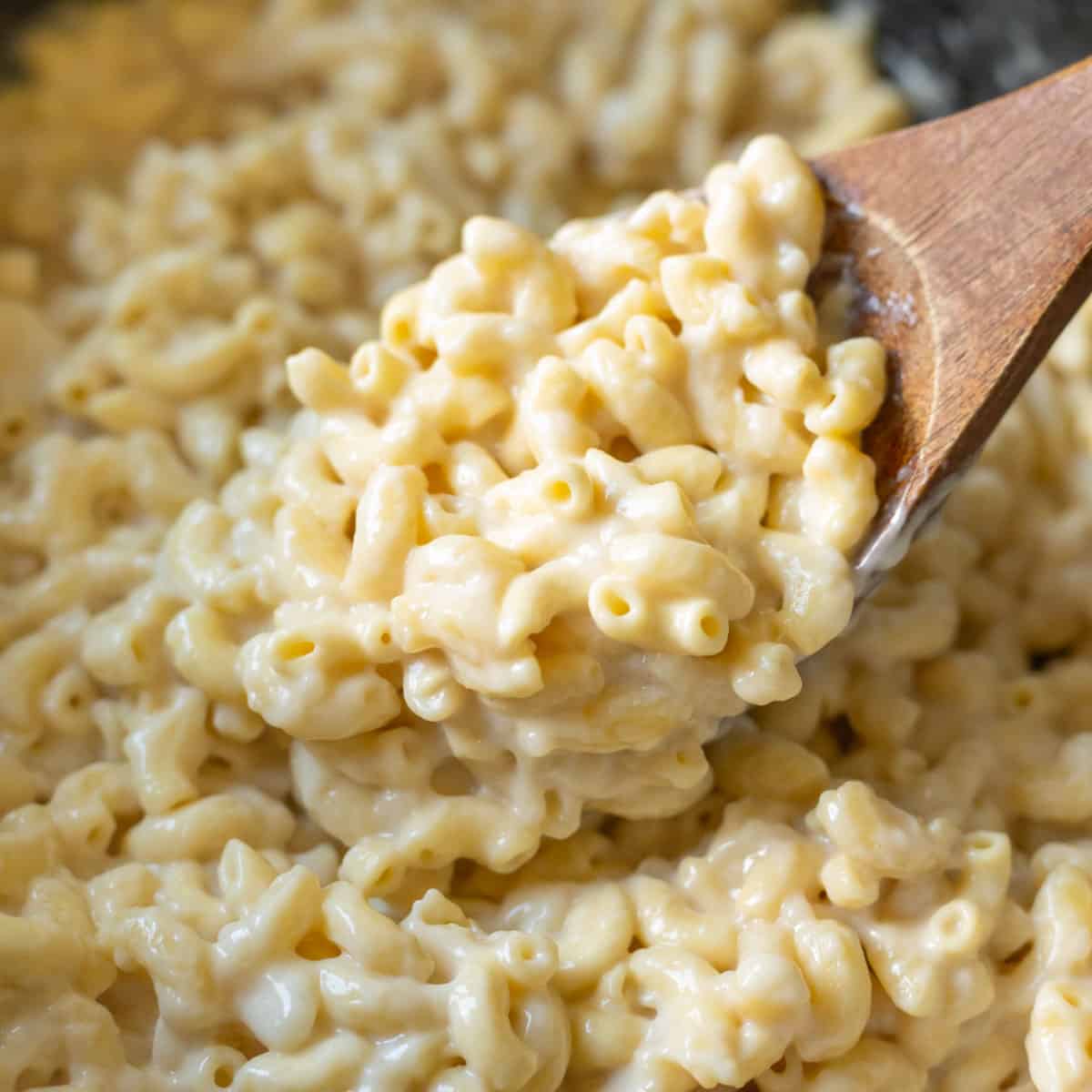 Vegan Crockpot Mac and Cheese - My Quiet Kitchen