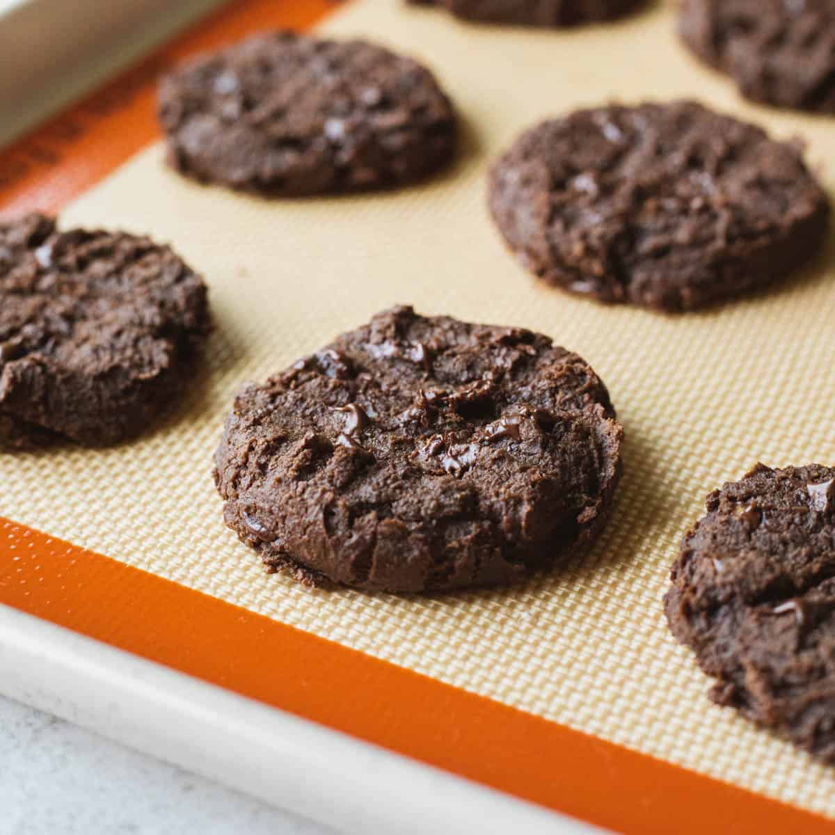 Chocolate Chickpea Cookies (Vegan & Gluten-Free) - My Quiet Kitchen
