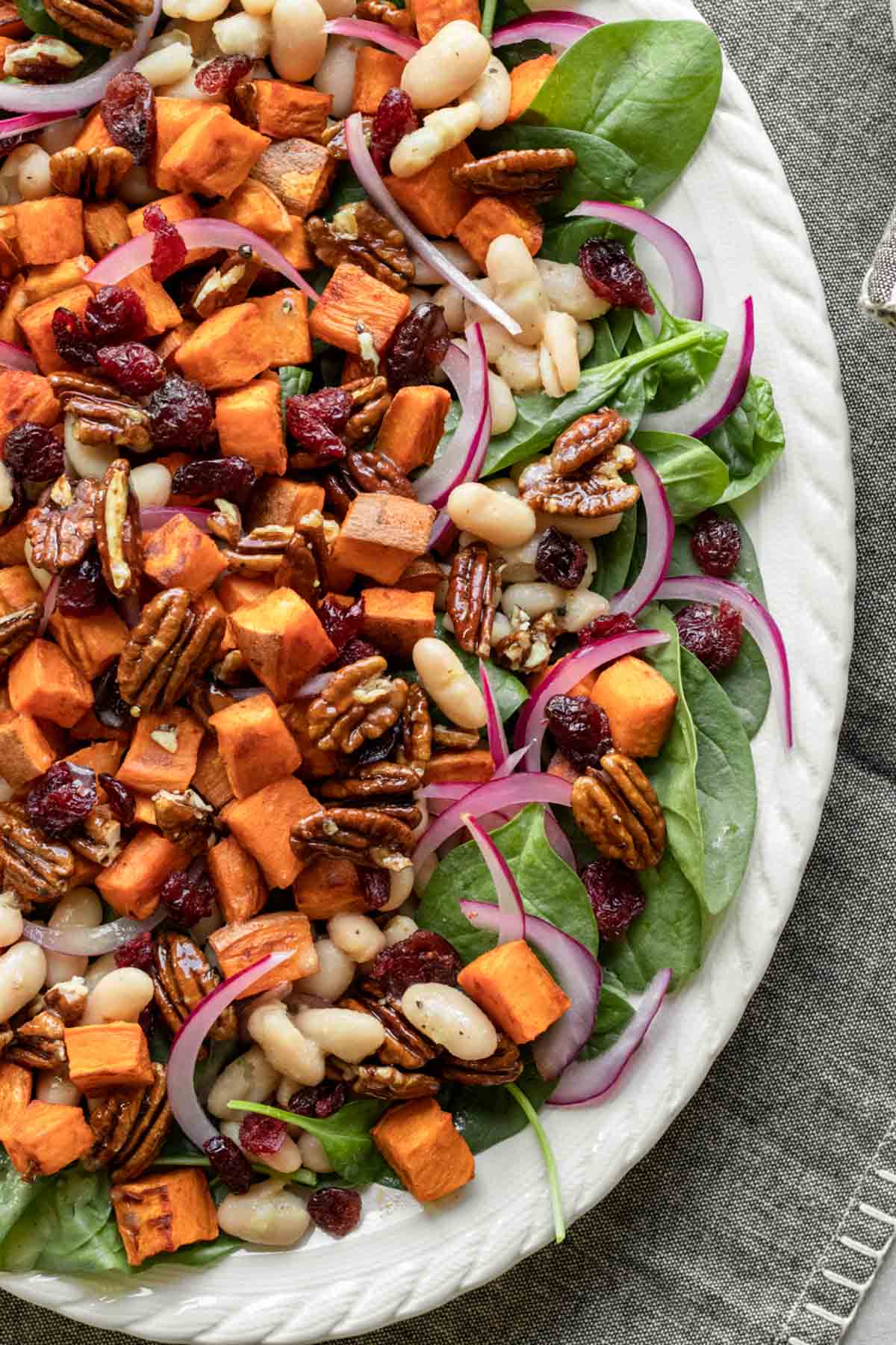 Spinach salad featuring dried cranberries and roasted sweet potato.