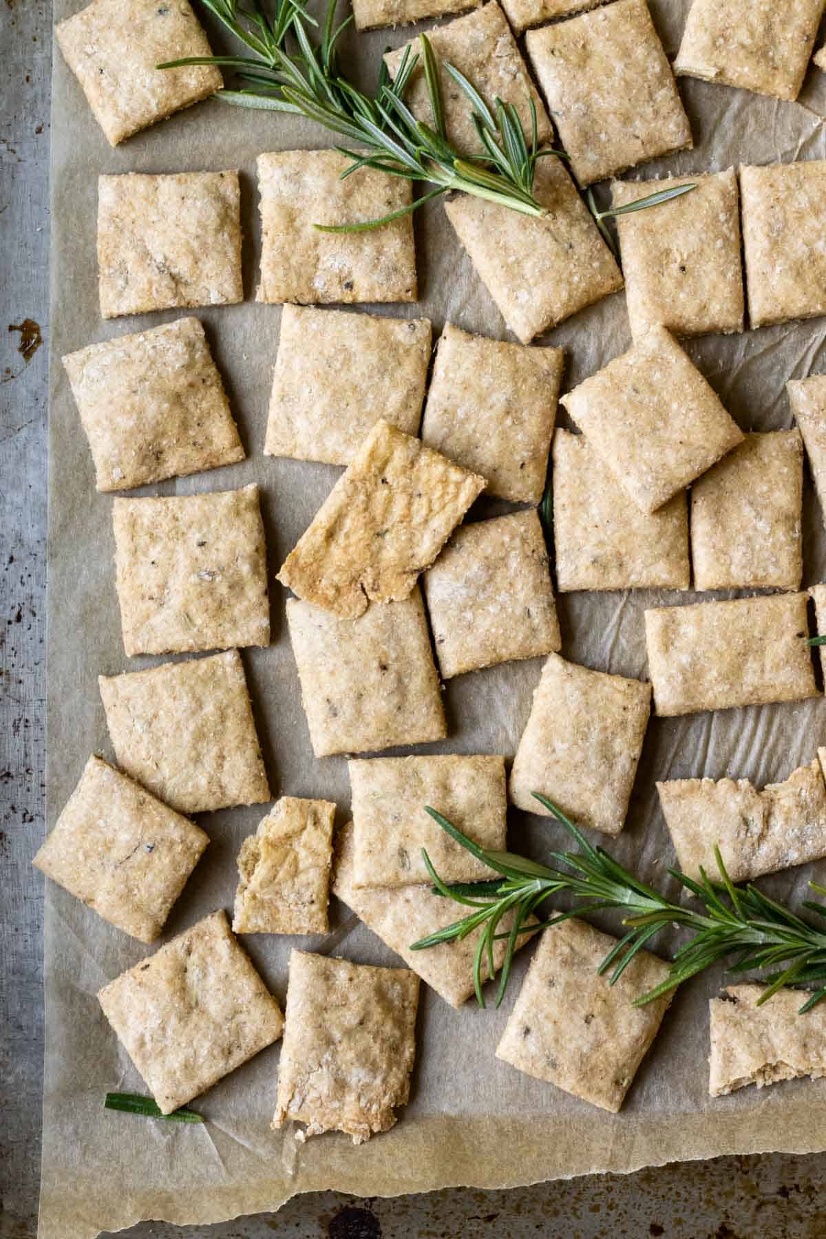 Homemade whole wheat crackers on a baking sheet with rosemary garnish.