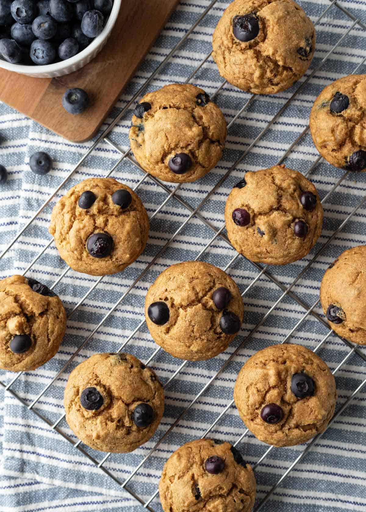 Overhead view of banana blueberry muffins on a cooling rack.