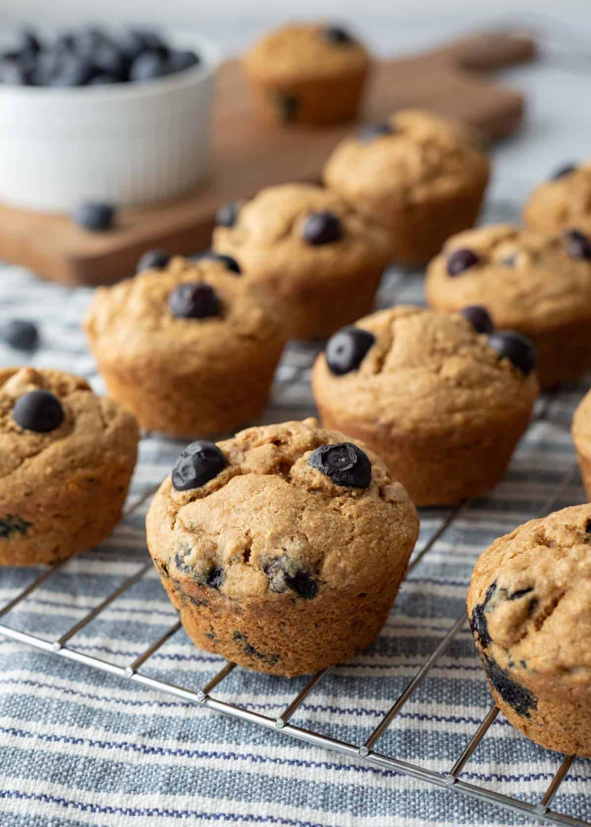 Whole grain blueberry banana muffins lined up on a cooling rack with fresh blueberries in background.