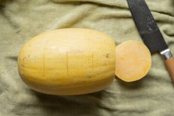 A spaghetti squash with the end cut off and a knife next to it.