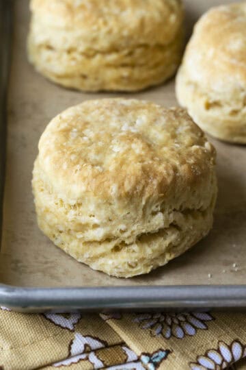 Three tall and flaky vegan biscuits on a baking sheet.