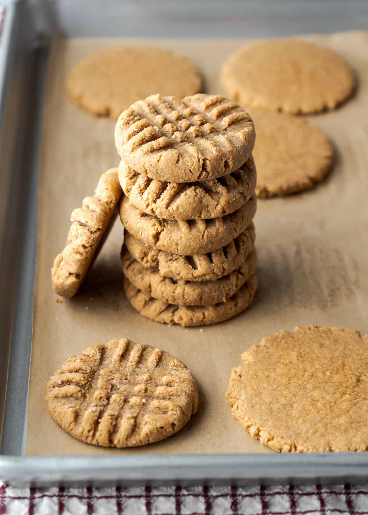 A stack of PB2 cookies on a baking sheet.